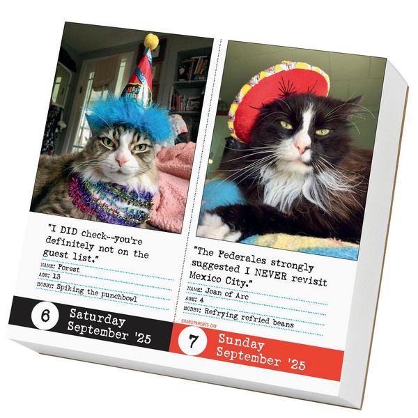 Produktbild: Bad Cat Page-A-Day(r) Calendar 2025