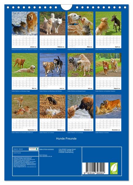 Produktbild: Hunde Freunde (Wandkalender 2026 DIN A4 hoch), CALVENDO Monatskalender