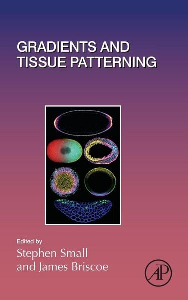 Produktbild: Gradients and Tissue Patterning