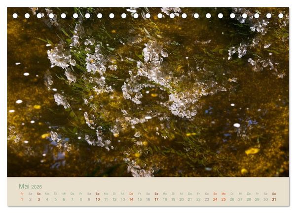 Produktbild: Gartenfl&uuml;stern (Tischkalender 2026 DIN A5 quer), CALVENDO Monatskalender