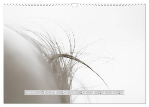 Produktbild: ...so winzig - Babykalender (Wandkalender 2026 DIN A3 quer), CALVENDO Monatskalender
