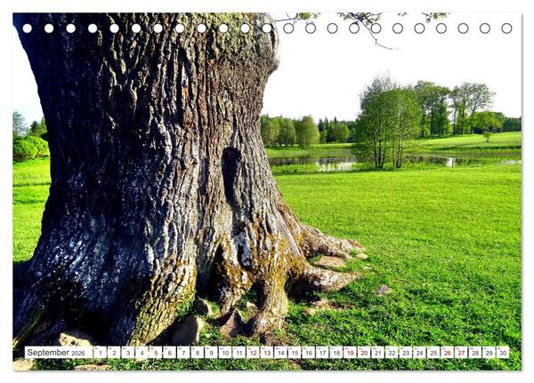 Produktbild: Gr&uuml;nes Estland - Naturparadies am Baltischen Meer (Tischkalender 2026 DIN A5 quer), CALVENDO Monatskalender