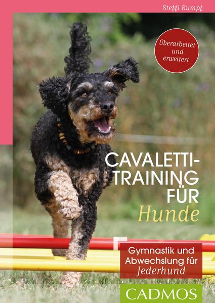 Produktbild: Cavalettitraining f&uuml;r Hunde