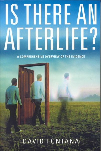 Produktbild: Is There an Afterlife?
