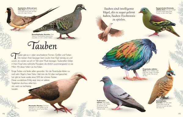 Produktbild: Wundervolle Welt der V&ouml;gel