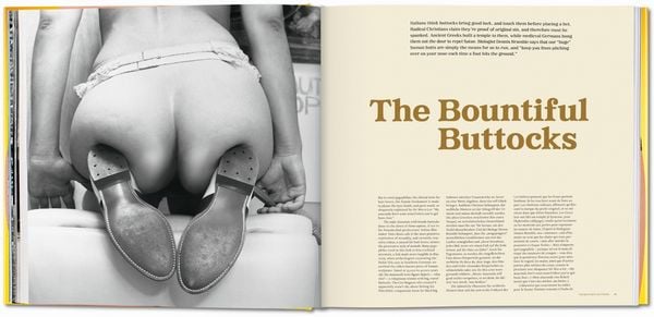 Produktbild: The Big Butt Book