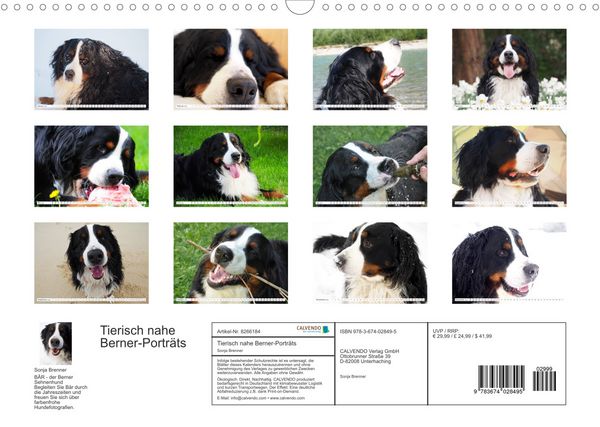 Produktbild: Tierisch nahe Berner-Portr&auml;ts (Wandkalender 2022 DIN A3 quer)