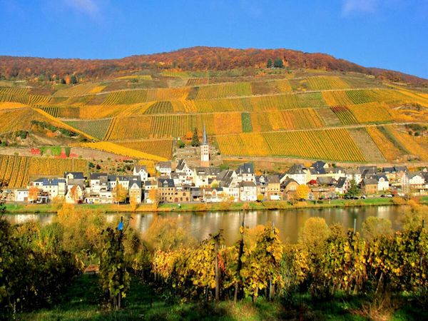 Produktbild: CALVENDO Puzzle Cell an der Mosel | 1000 Teile Lege-Gr&ouml;&szlig;e 64x48cm Foto-Puzzle f&uuml;r gl&uuml;ckliche Stunden