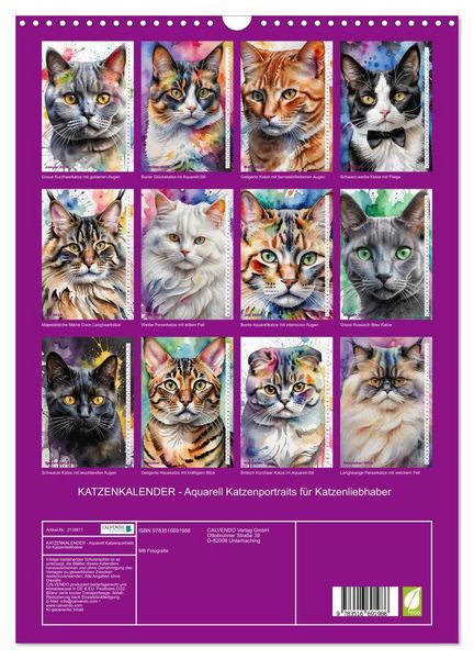 Produktbild: KATZENKALENDER - Aquarell Katzenportraits f&uuml;r Katzenliebhaber (Wandkalender 2026 DIN A3 hoch), CALVENDO Monatskalender