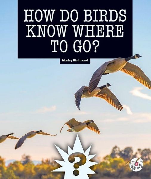 Produktbild: How Do Birds Know Where to Go?