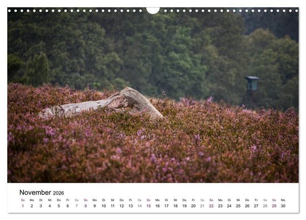 Produktbild: L&uuml;neburger Heide (Wandkalender 2026 DIN A3 quer), CALVENDO Monatskalender
