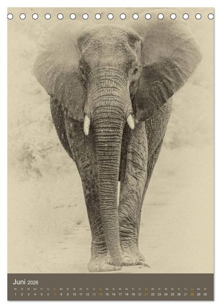 Produktbild: Afrikas Tierwelt - Sepia-Art (Tischkalender 2026 DIN A5 hoch), CALVENDO Monatskalender