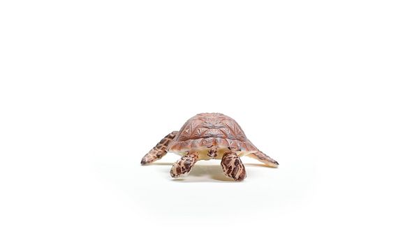 Produktbild: schleich&reg; 14876 - Wild Life, Echte Karettschildkr&ouml;te, L&auml;nge: 6,5 cm