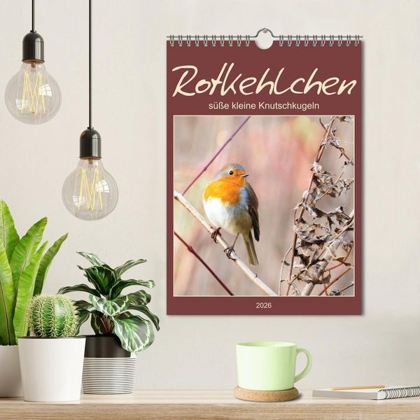 Produktbild: Rotkehlchen, s&uuml;&szlig;e kleine Knutschkugeln (Wandkalender 2026 DIN A4 hoch), CALVENDO Monatskalender