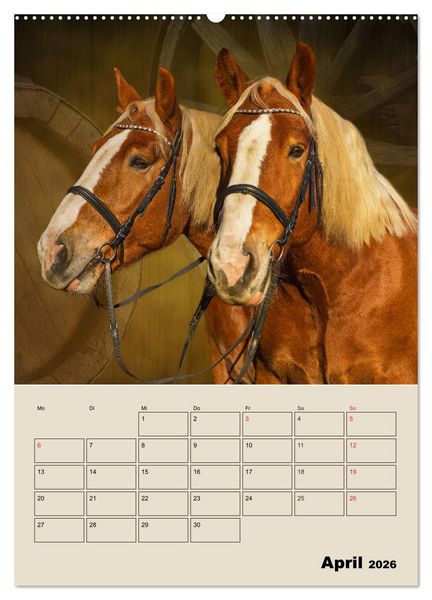Produktbild: Pferdetr&auml;umereien - Traumbilder von Traumpferden (Wandkalender 2026 DIN A2 hoch), CALVENDO Monatskalender