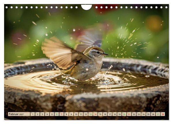 Produktbild: Farbenfrohe Singv&ouml;gel beim Baden (Wandkalender 2027 DIN A4 quer), CALVENDO Monatskalender