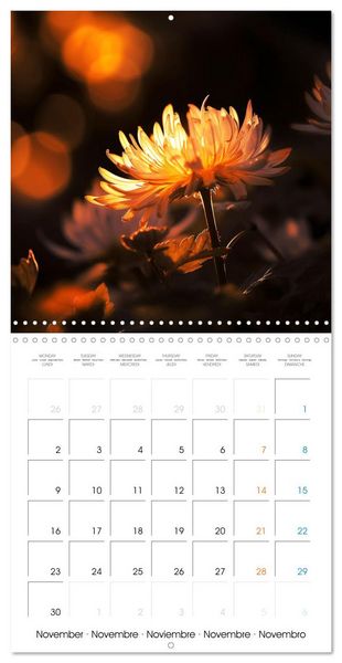 Produktbild: &Eacute;clats naturels (Calendrier mural carr&eacute; 2026 30x30 cm) Calendrier double avec une page pour vos prises de notes