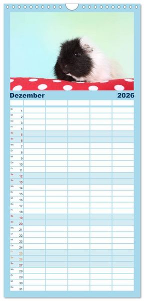 Produktbild: Familienplaner 2026 - Niedliche Meerschweinchen mit 5 Spalten (Wandkalender, 21 x 45 cm) CALVENDO