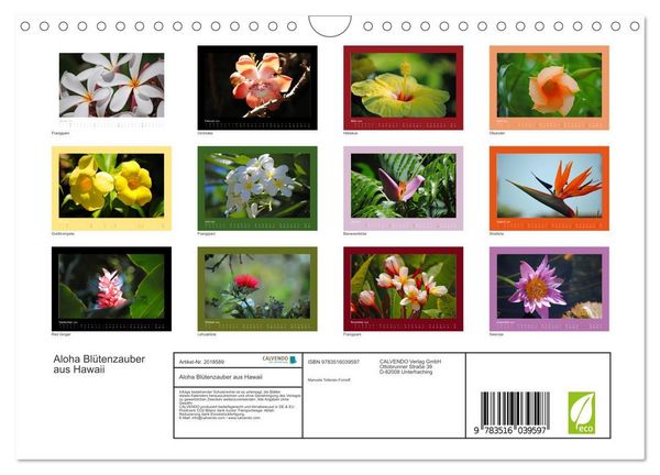 Produktbild: Aloha Bl&uuml;tenzauber aus Hawaii (Wandkalender 2026 DIN A4 quer), CALVENDO Monatskalender
