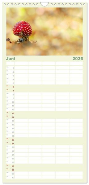 Produktbild: Familienplaner 2026 - Die Welt der Fliegenpilze mit 5 Spalten (Wandkalender, 21 x 45 cm) CALVENDO