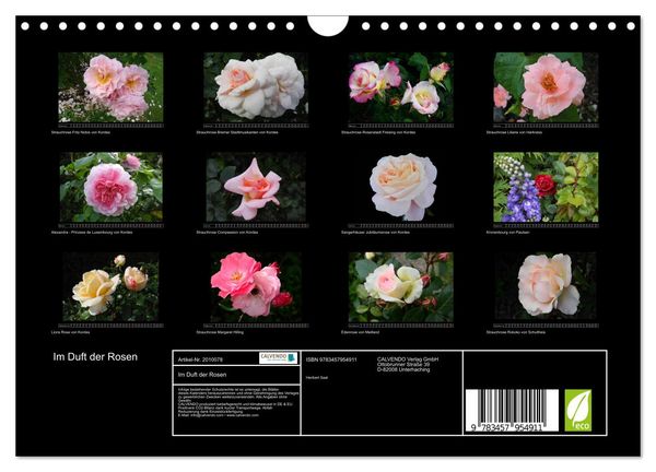 Produktbild: Im Duft der Rosen (Wandkalender 2026 DIN A4 quer), CALVENDO Monatskalender