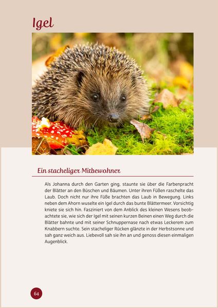 Produktbild: Kurzaktivierungen ohne Material. Last-Minute-Ideen f&uuml;r den Herbst