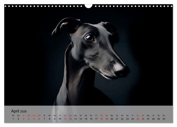 Produktbild: Black is beautiful (Wandkalender 2026 DIN A3 quer), CALVENDO Monatskalender