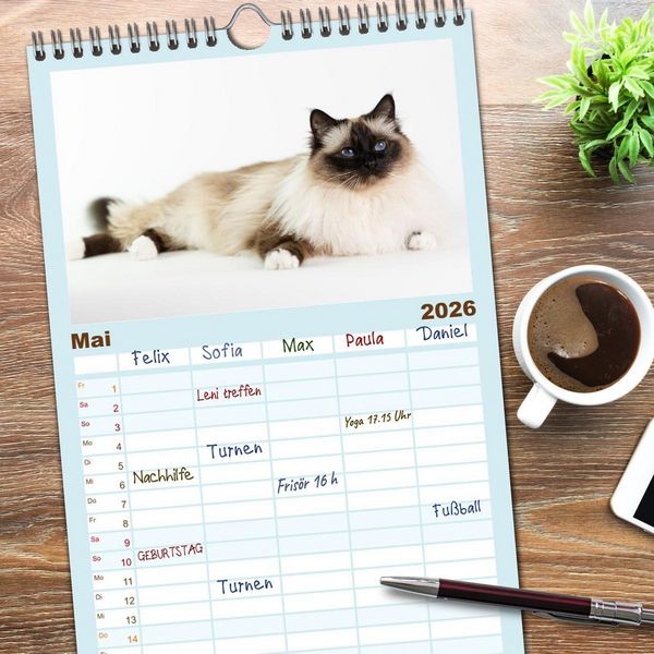 Produktbild: Familienplaner 2026 - Heilige Birma Katzen - Eine Rasse mit traumhaft blauen Augen. mit 5 Spalten (Wandkalender, 21 x 45 cm) CALVENDO