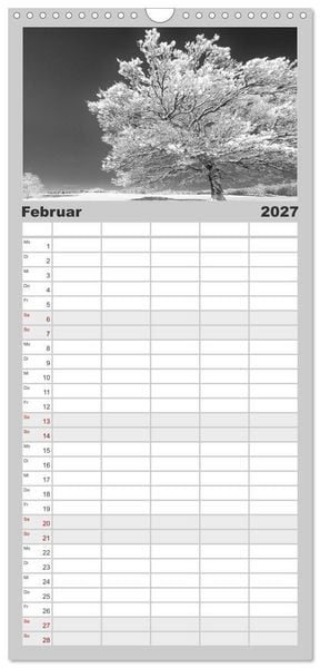 Produktbild: Familienplaner 2027 - Traumhafte Allg&auml;uer Alpen mit 5 Spalten (Wandkalender, 21 x 45 cm) CALVENDO