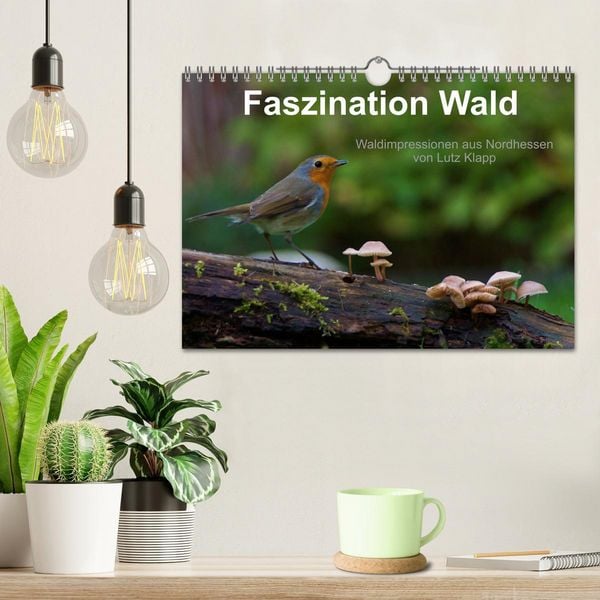 Produktbild: Faszination Wald. Waldimpressionen aus Nordhessen von Lutz Klapp (Wandkalender 2026 DIN A4 quer), CALVENDO Monatskalender