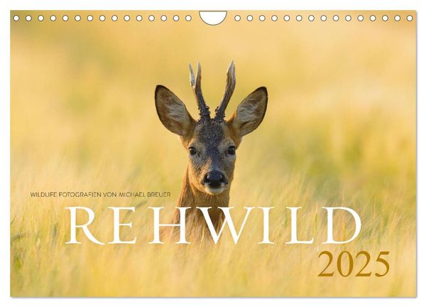 Rehwild 2025 (Wandkalender 2025 DIN A4 quer), CALVENDO Monatskalender