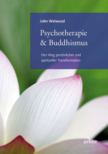 Produktbild: Psychotherapie & Buddhismus