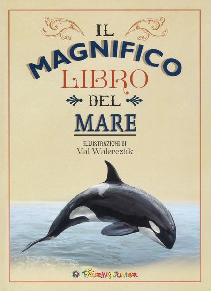 Produktbild: Il magnifico libro del mare