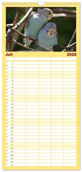 Produktbild: Familienplaner 2026 - Wellensittiche - Gefiederte Freunde mit 5 Spalten (Wandkalender, 21 x 45 cm) CALVENDO