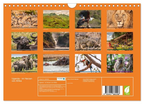 Produktbild: Uganda - im Herzen von Afrika (Wandkalender 2026 DIN A4 quer), CALVENDO Monatskalender