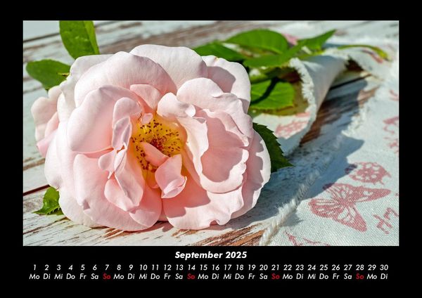 Produktbild: Blumentraum 2025 Fotokalender DIN A3