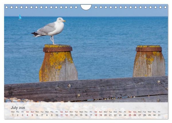 Produktbild: Eastbourne 2026 (Wall Calendar 2026 DIN A4 landscape), CALVENDO 12 Month Wall Calendar