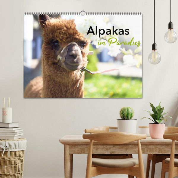 Produktbild: Alpakas im Paradies (Wandkalender 2026 DIN A2 quer), CALVENDO Monatskalender