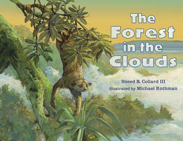 Produktbild: The Forest in the Clouds