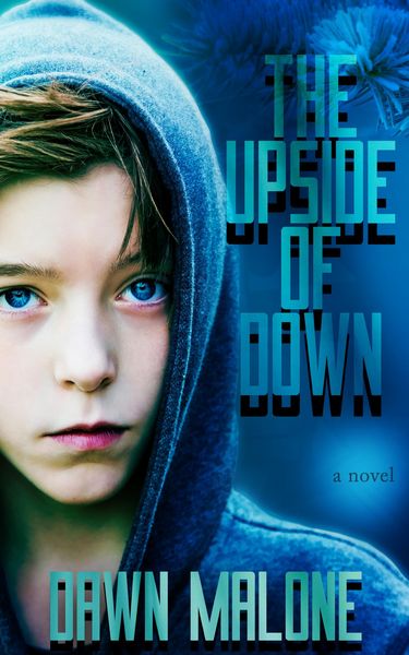 Produktbild: The Upside of Down