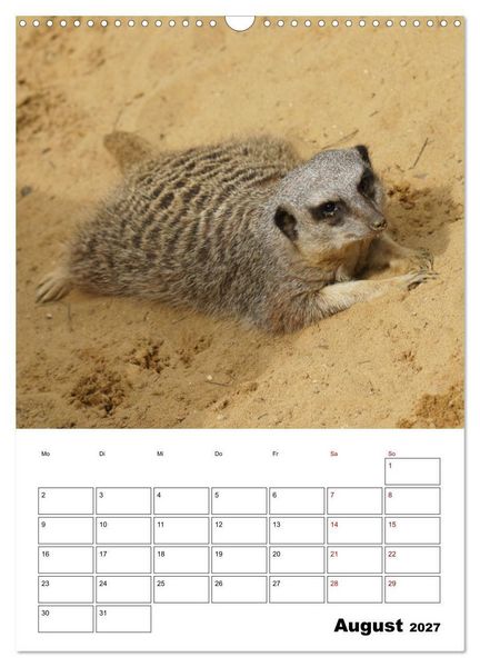 Produktbild: Niedliche Erdm&auml;nnchen (Wandkalender 2027 DIN A3 hoch), CALVENDO Monatskalender