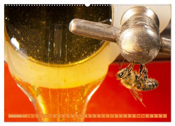 Produktbild: Ein Leben f&uuml;r den Honig: Bienen und Imker (hochwertiger Premium Wandkalender 2027 DIN A2 quer), Kunstdruck in Hochglanz