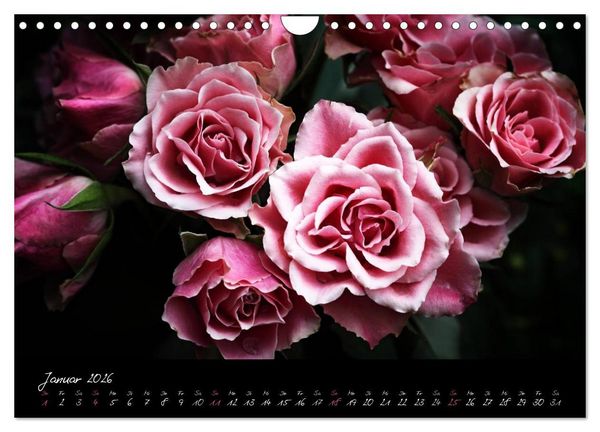 Produktbild: Florales Sonett - Visuelle Musik der Blumen (Wandkalender 2026 DIN A4 quer), CALVENDO Monatskalender
