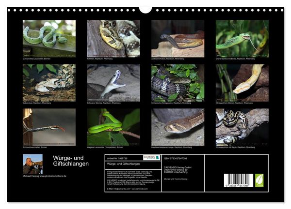 Produktbild: W&uuml;rge- und Giftschlangen (Wandkalender 2026 DIN A3 quer), CALVENDO Monatskalender