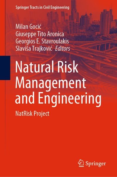 Produktbild: Natural Risk Management and Engineering