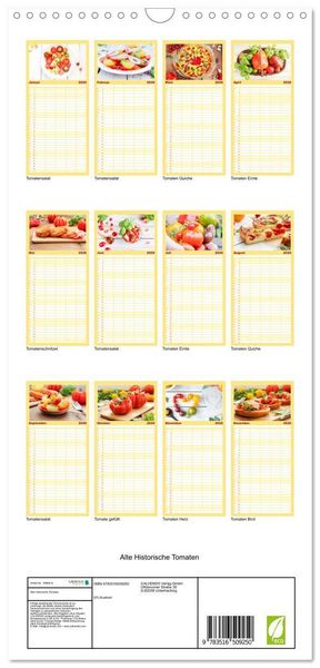 Produktbild: Familienplaner 2026 - Alte Historische Tomaten mit 5 Spalten (Wandkalender, 21 x 45 cm) CALVENDO