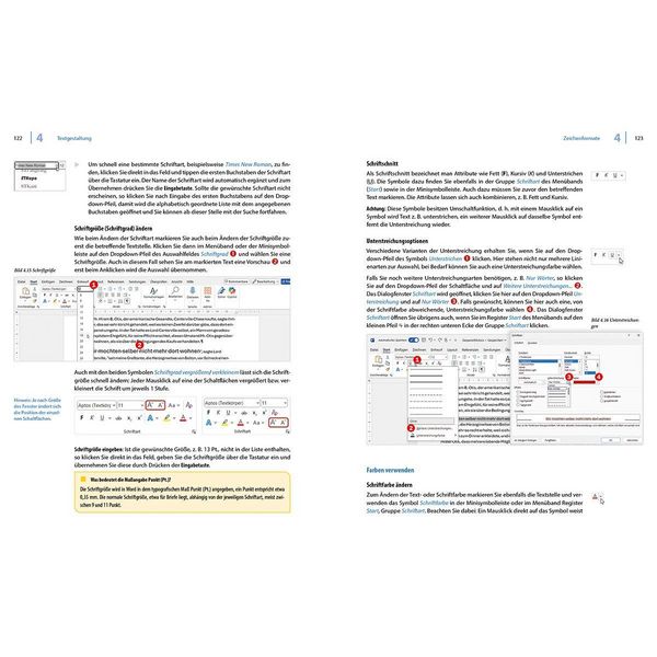 Produktbild: Word 2024 - Stufe 1: Grundlagen
