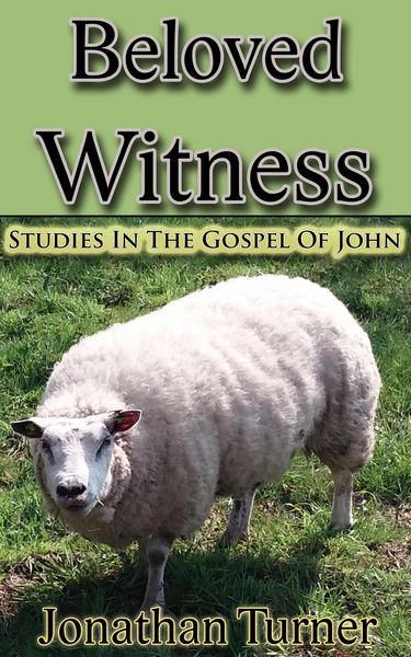 Produktbild: Beloved Witness: Studies In The Gospel Of John