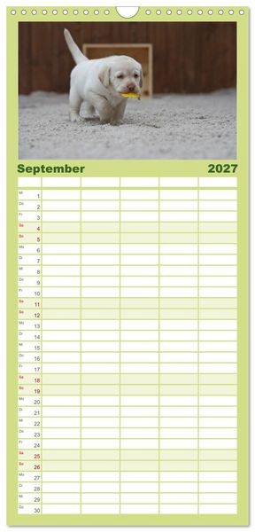 Produktbild: Familienplaner 2027 - Labrador Welpen mit 5 Spalten (Wandkalender, 21 x 45 cm) CALVENDO