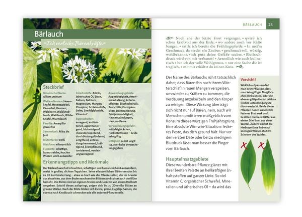 Produktbild: Essbare Heilkr&auml;uter und Wildpflanzen. Kompakt-Ratgeber